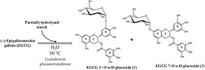 Effect of α-Glucosylation on the Stability, Antioxidant Properties, Toxicity, and Neuroprotective Activity of (–)-Epigallocatechin Gallate